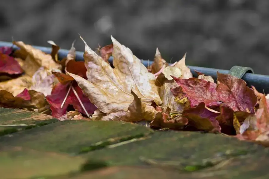 When Tropical-System Rain Heads for the Triad: Gutter Prep